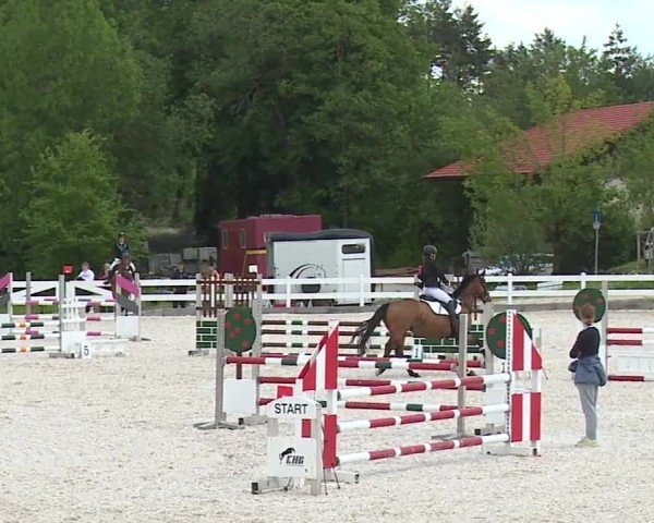 Reitturnier Gut Bohmerhof-Wackersberg/Obb. 2024