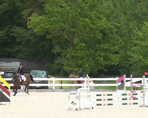 Reitturnier Gut Bohmerhof-Wackersberg/Obb. 2024