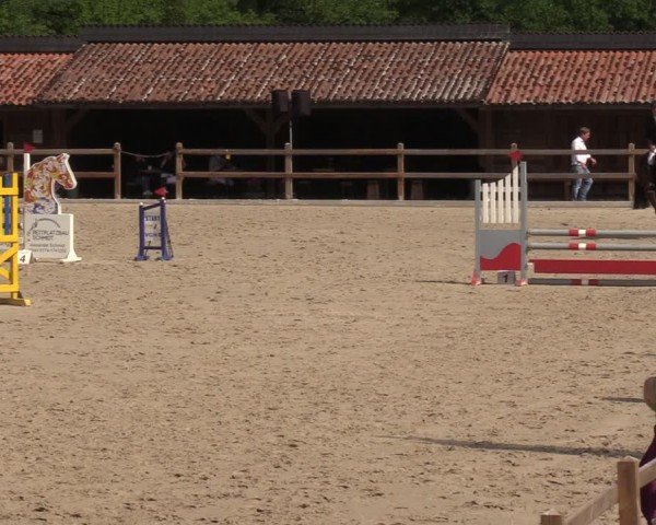 Reitturnier Alvern 2024