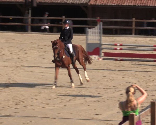 Reitturnier Alvern 2024