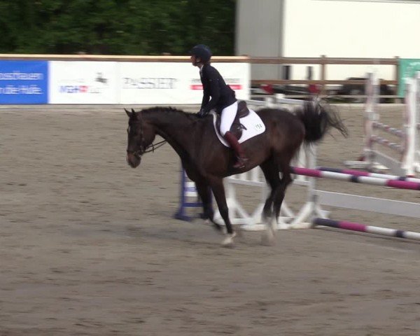 Reitturnier Alvern 2024