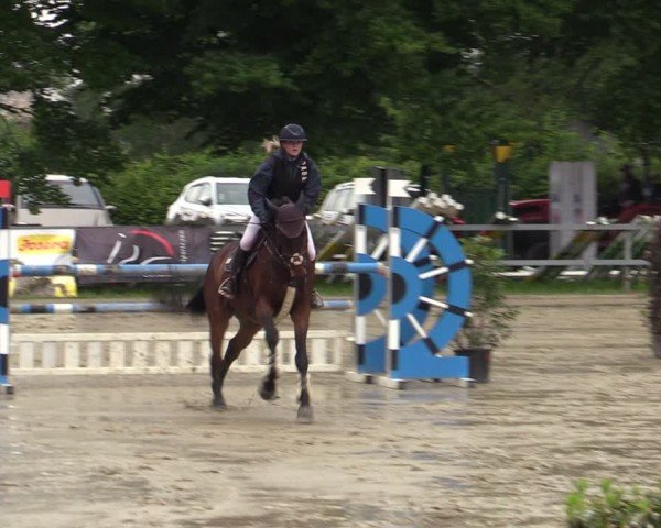 Reitturnier Letmathe 2024