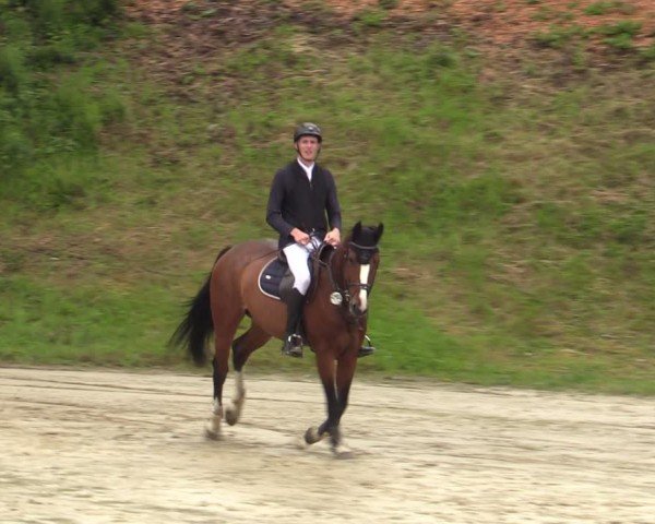 Reitturnier Letmathe 2024