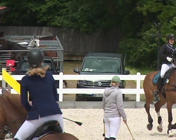 Reitturnier Gut Bohmerhof-Wackersberg/Obb. 2024