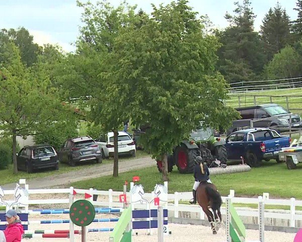 Reitturnier Gut Bohmerhof-Wackersberg/Obb. 2024