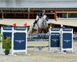 jumper Fittipaldi (KWPN (Royal Dutch Sporthorse), 2010, from Cincinnatti)