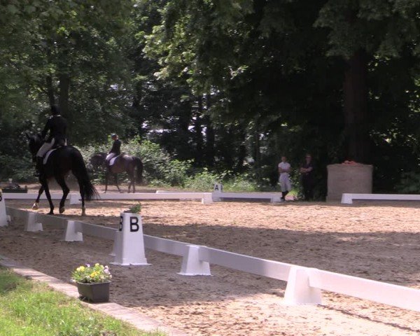 Reitturnier Königsborn 2024