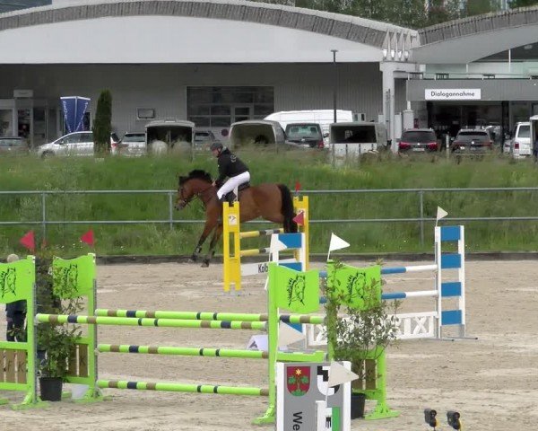 Reitturnier Werdenberg 2024