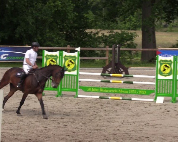 Reitturnier Alvern 2024