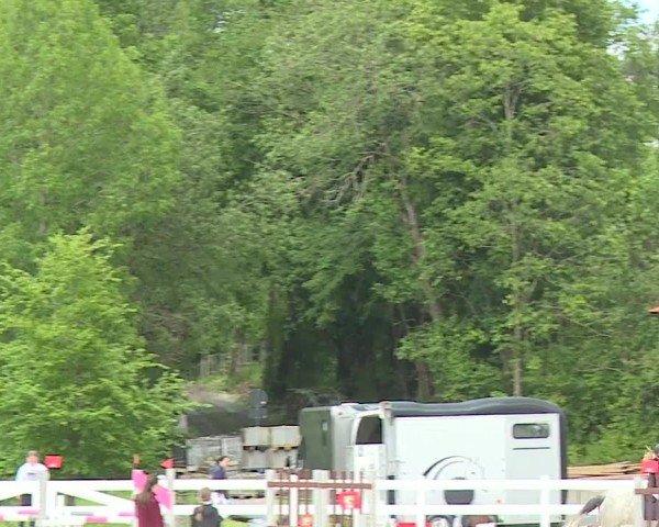 Reitturnier Gut Bohmerhof-Wackersberg/Obb. 2024