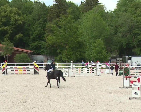 Reitturnier Gut Bohmerhof-Wackersberg/Obb. 2024