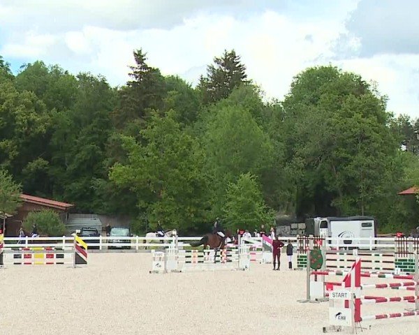 Reitturnier Gut Bohmerhof-Wackersberg/Obb. 2024