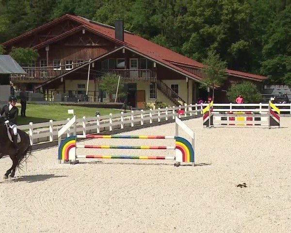 Reitturnier Gut Bohmerhof-Wackersberg/Obb. 2024