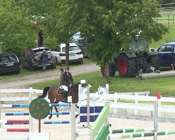 Reitturnier Gut Bohmerhof-Wackersberg/Obb. 2024
