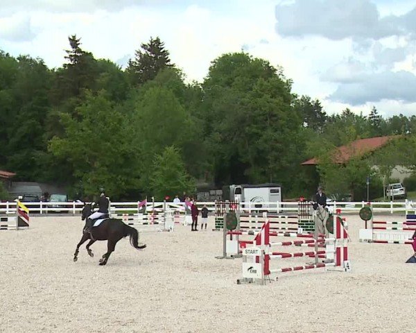 Reitturnier Gut Bohmerhof-Wackersberg/Obb. 2024