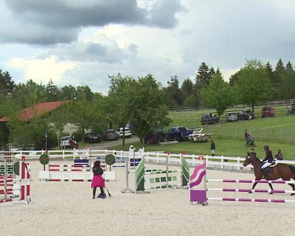 Reitturnier Gut Bohmerhof-Wackersberg/Obb. 2024