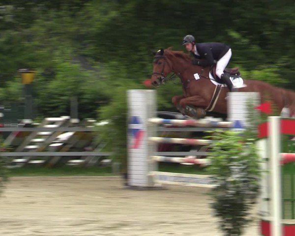 Reitturnier Letmathe 2024