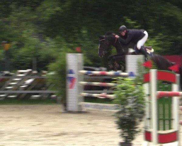 Reitturnier Letmathe 2024