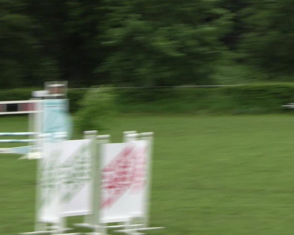 Reitturnier Jülich 2024