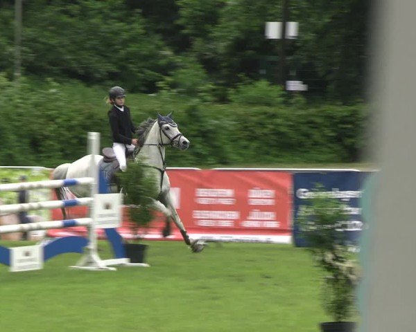 Reitturnier Jülich 2024