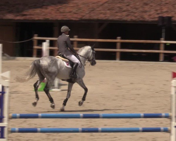 Reitturnier Alvern 2024