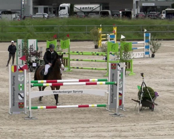 Reitturnier Werdenberg 2024