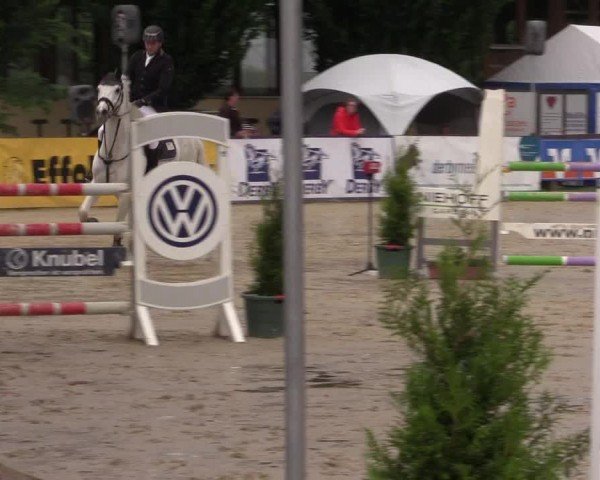 Reitturnier Everswinkel 2024