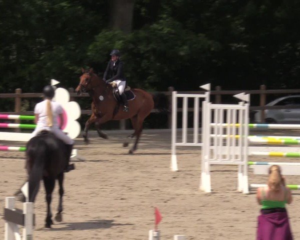 Reitturnier Alvern 2024