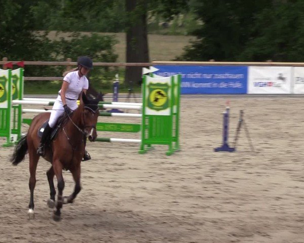 Reitturnier Alvern 2024