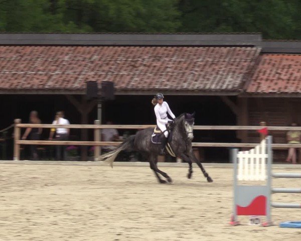 Reitturnier Alvern 2024