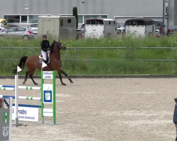 Reitturnier Werdenberg 2024