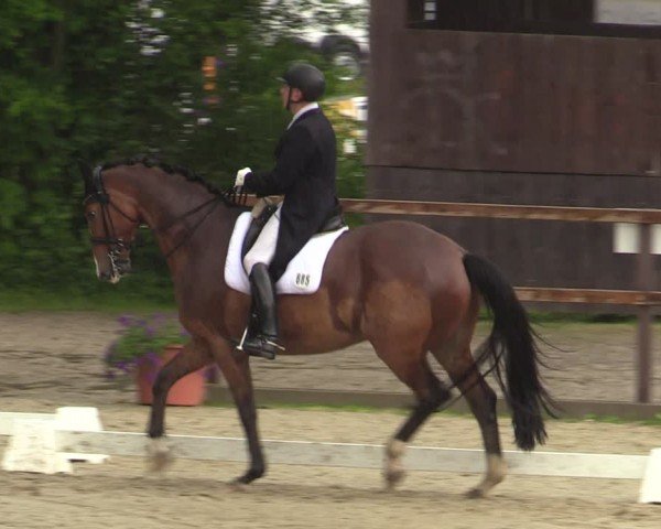 Reitturnier Letmathe 2024