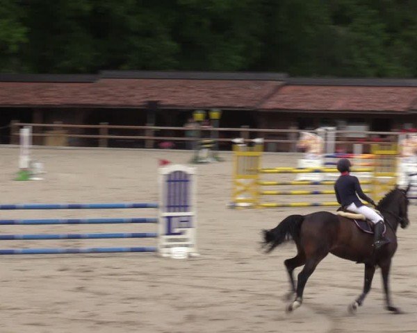 Reitturnier Alvern 2024