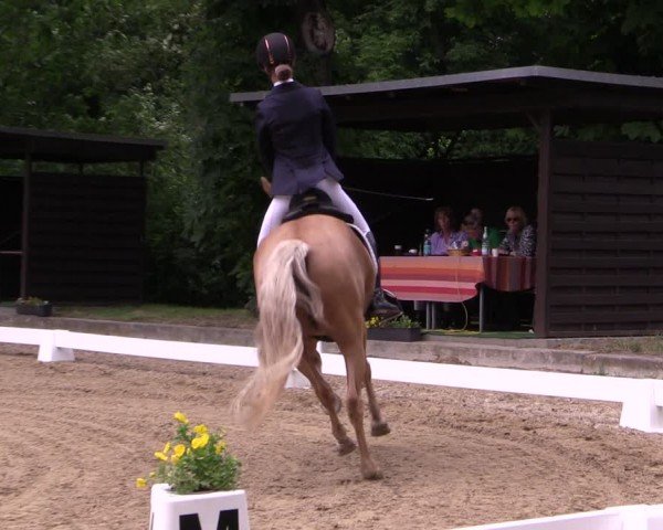 Reitturnier Königsborn 2024