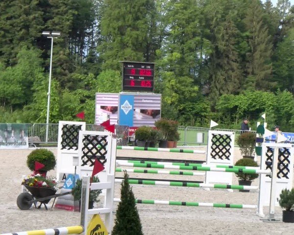 Reitturnier Meilen 2024
