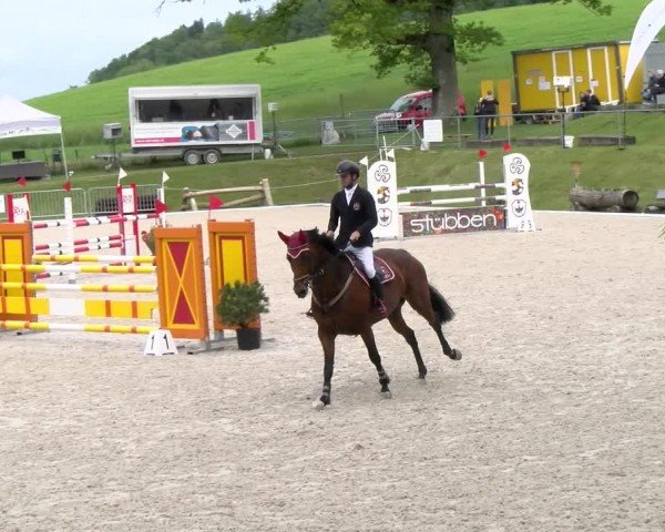 Reitturnier Meilen 2024