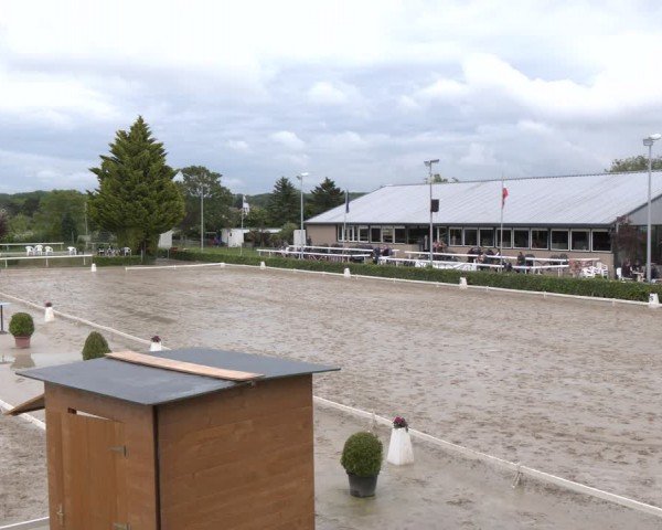 Reitturnier Bornheim-Widdig 2024