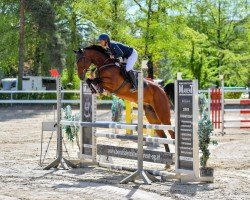 Springpferd Esperia Gb (Hannoveraner, 2018, von Emerald van 't Ruytershof)