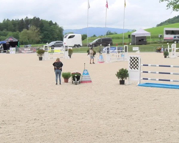 Reitturnier Meilen 2024