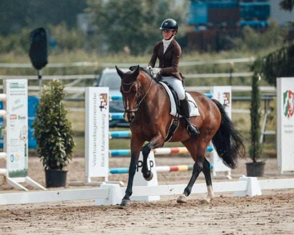 dressage horse Escapology 5 (Rhinelander, 2015, from Escolar)