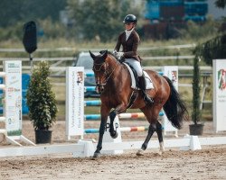 dressage horse Escapology 5 (Rhinelander, 2015, from Escolar)