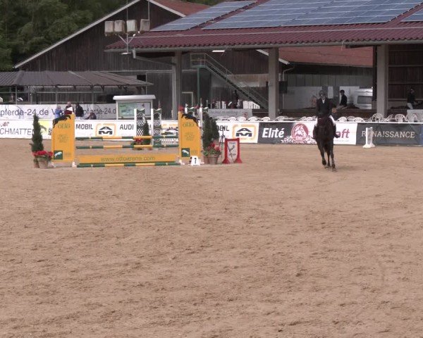 Reitturnier Ranshofen - Braunau am Inn 2024