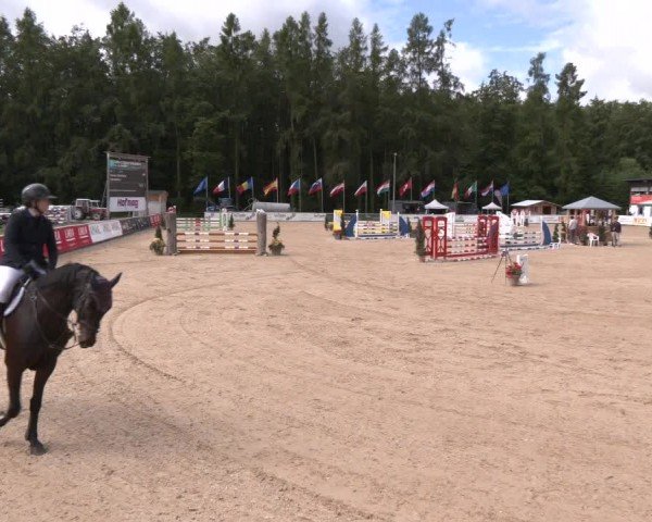Reitturnier Ranshofen - Braunau am Inn 2024