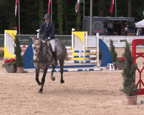Reitturnier Ranshofen - Braunau am Inn 2024