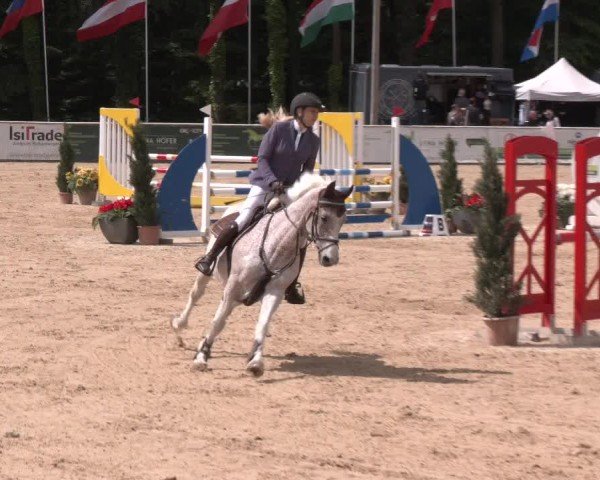Reitturnier Ranshofen - Braunau am Inn 2024