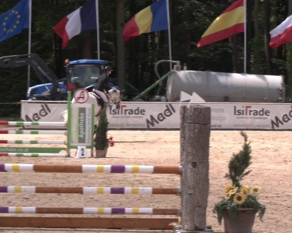 Reitturnier Ranshofen - Braunau am Inn 2024