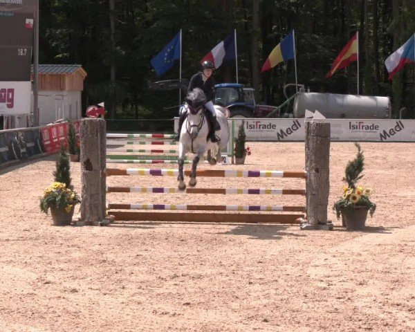 Reitturnier Ranshofen - Braunau am Inn 2024