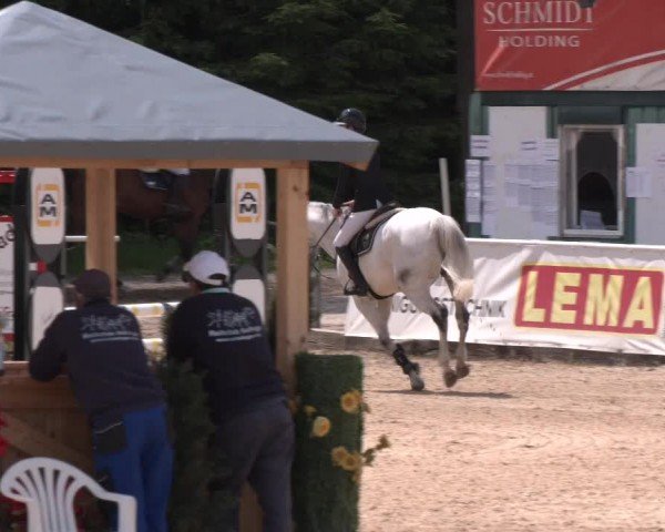 Reitturnier Ranshofen - Braunau am Inn 2024