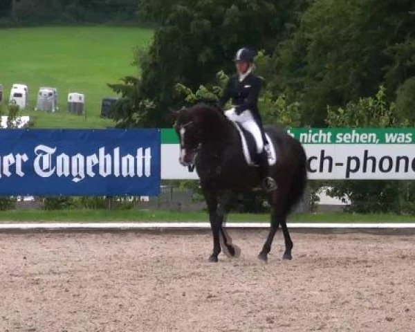 Bettenröder Dressurtage 2012