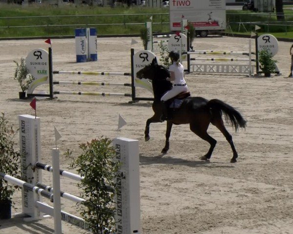 Reitturnier Werdenberg 2024